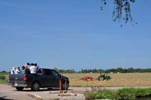 Die Rastreadoras auf dem Weg zum Gelände, das sie nach ihren Kindern absuchen werden. 